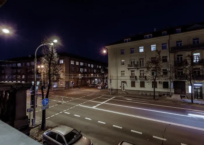 Apartament Svitrigailos 7 *